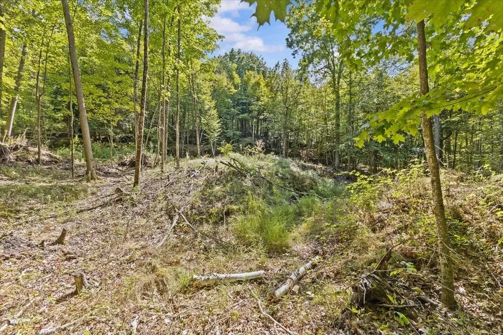 514 Red Rock Road Colchester VT 05446