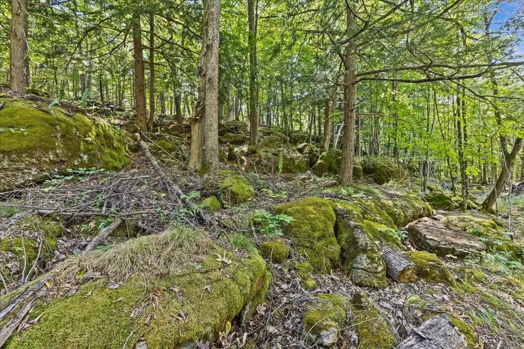 514 Red Rock Road Colchester VT 05446