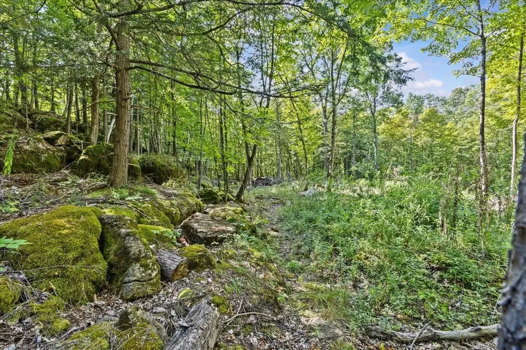 514 Red Rock Road Colchester VT 05446