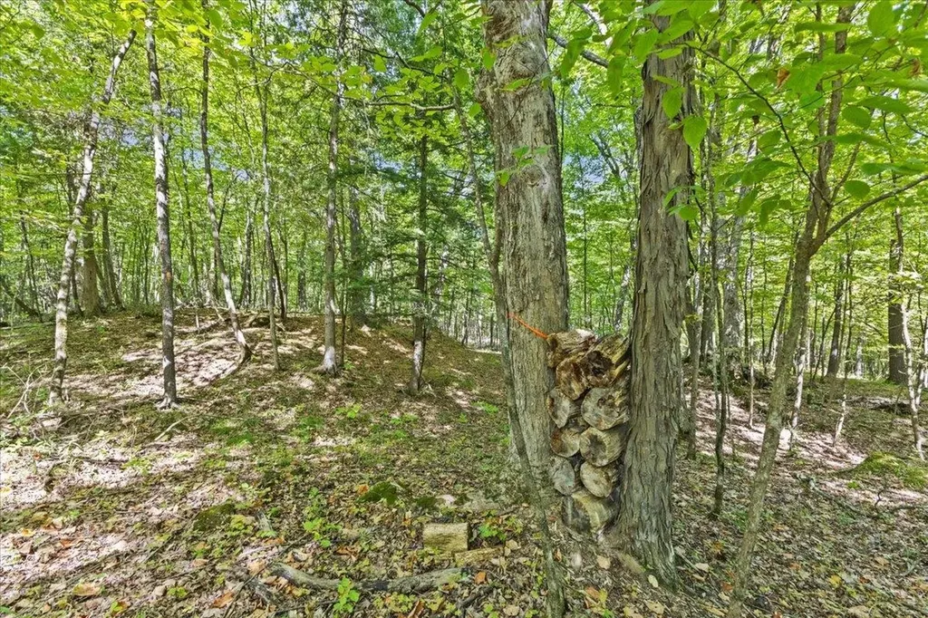 514 Red Rock Road Colchester VT 05446