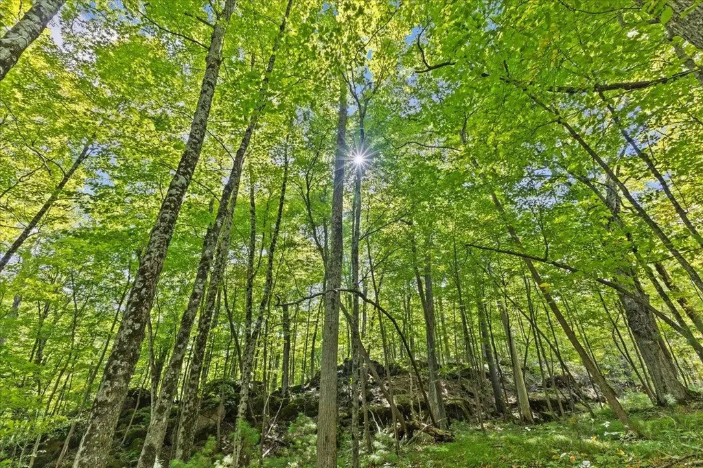 514 Red Rock Road Colchester VT 05446