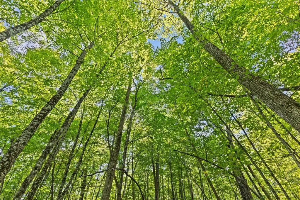 514 Red Rock Road Colchester VT 05446