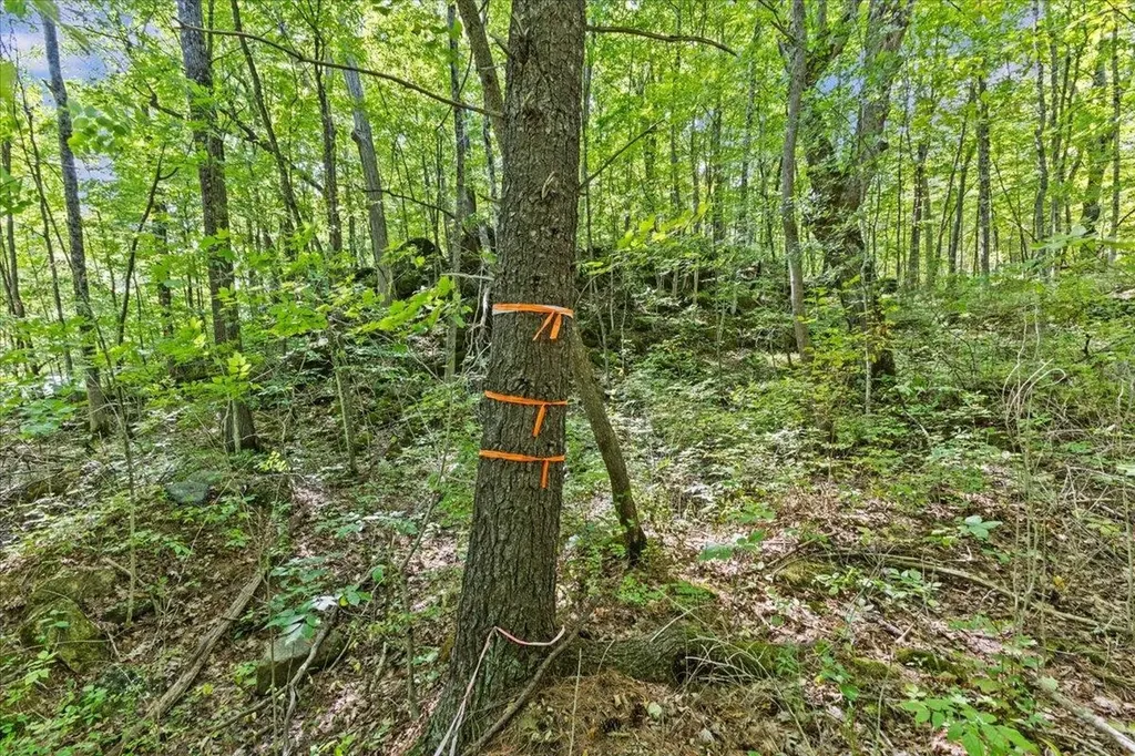 514 Red Rock Road Colchester VT 05446