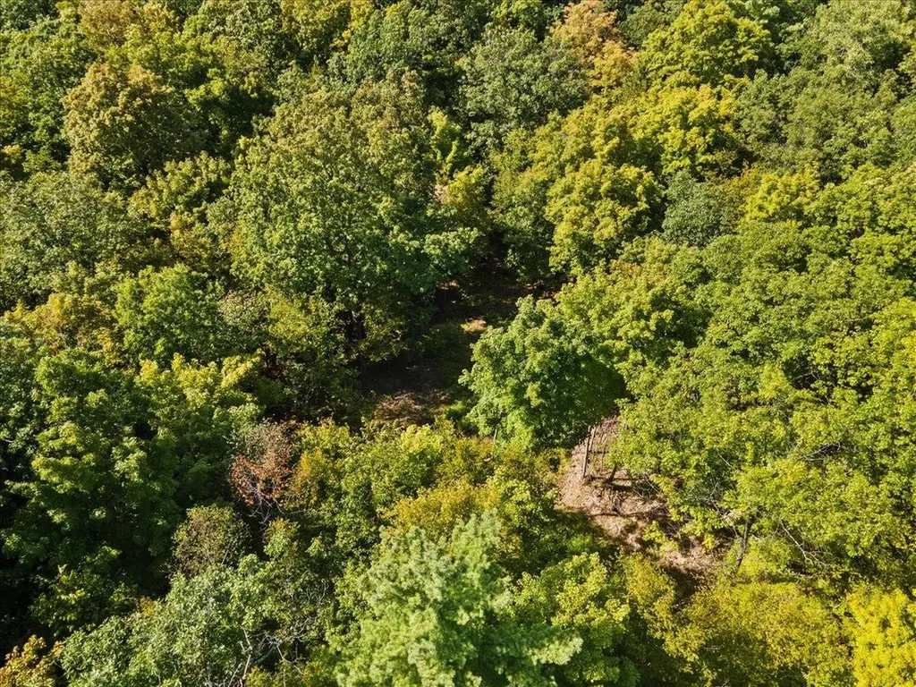 514 Red Rock Road Colchester VT 05446