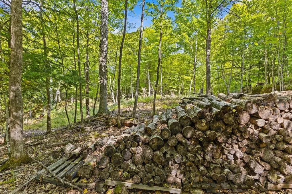 514 Red Rock Road Colchester VT 05446