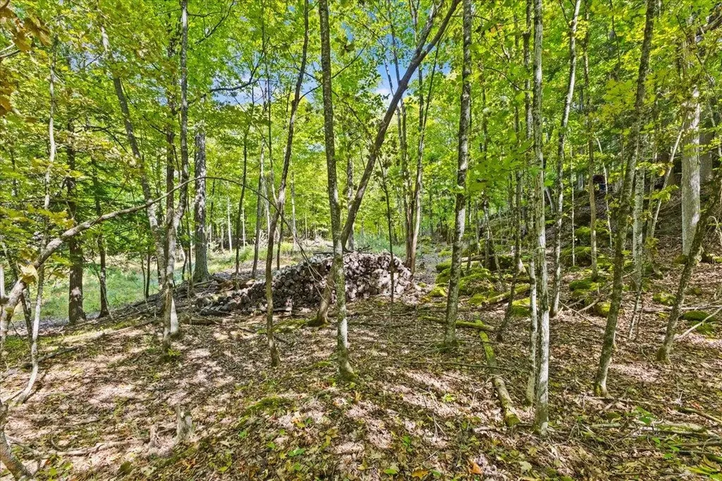 514 Red Rock Road Colchester VT 05446