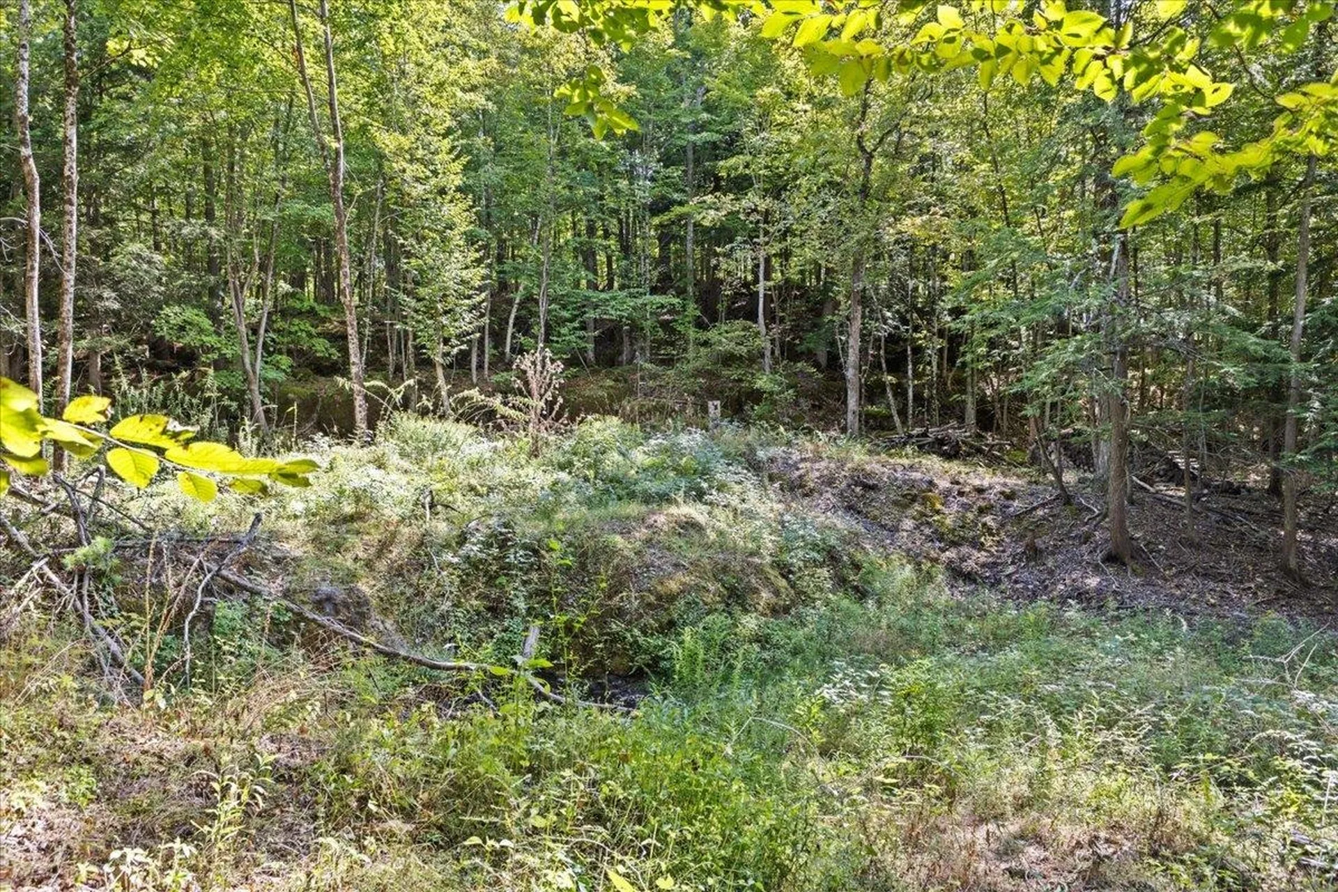 514 Red Rock Road Colchester VT 05446