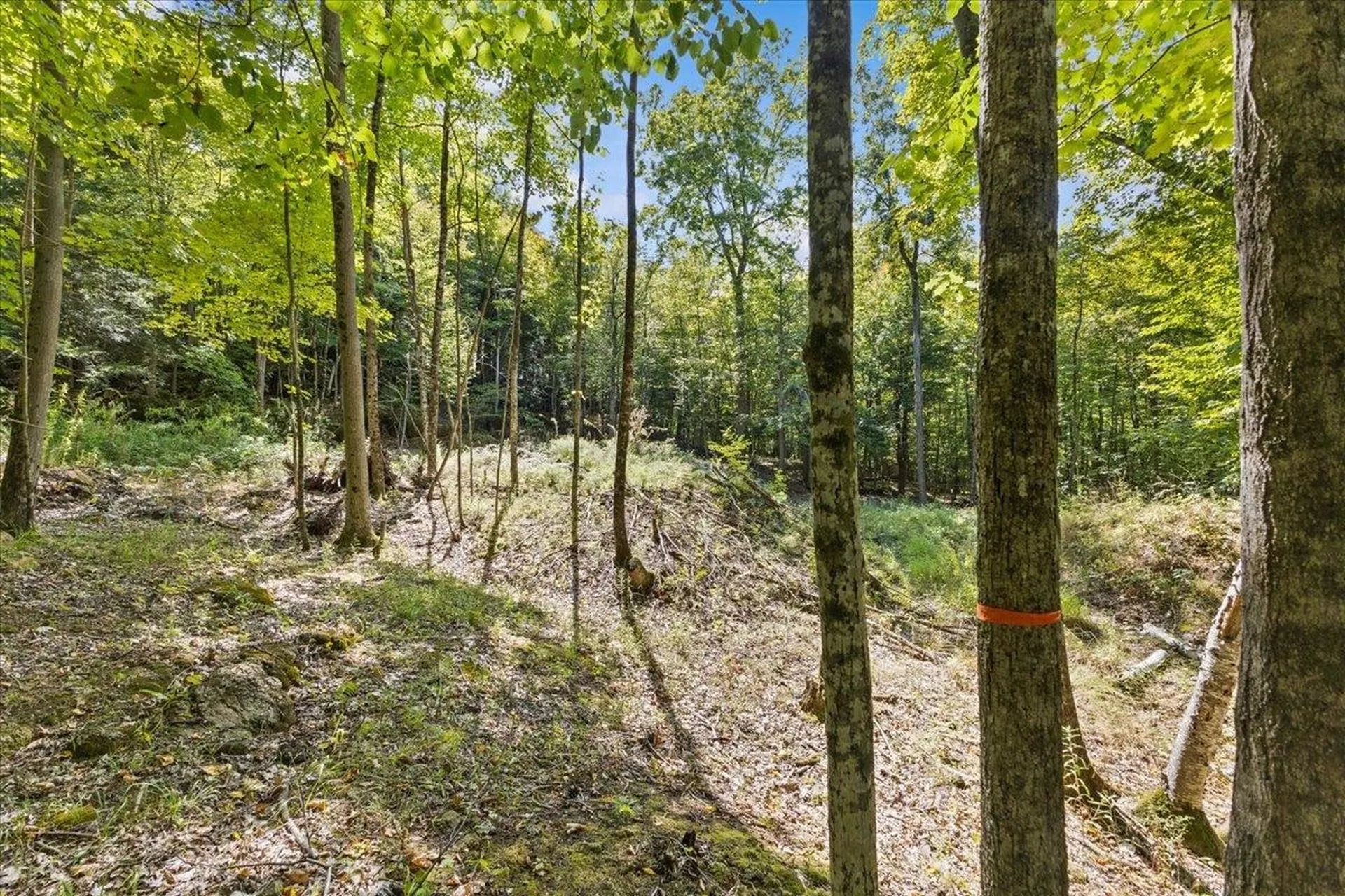 514 Red Rock Road Colchester VT 05446