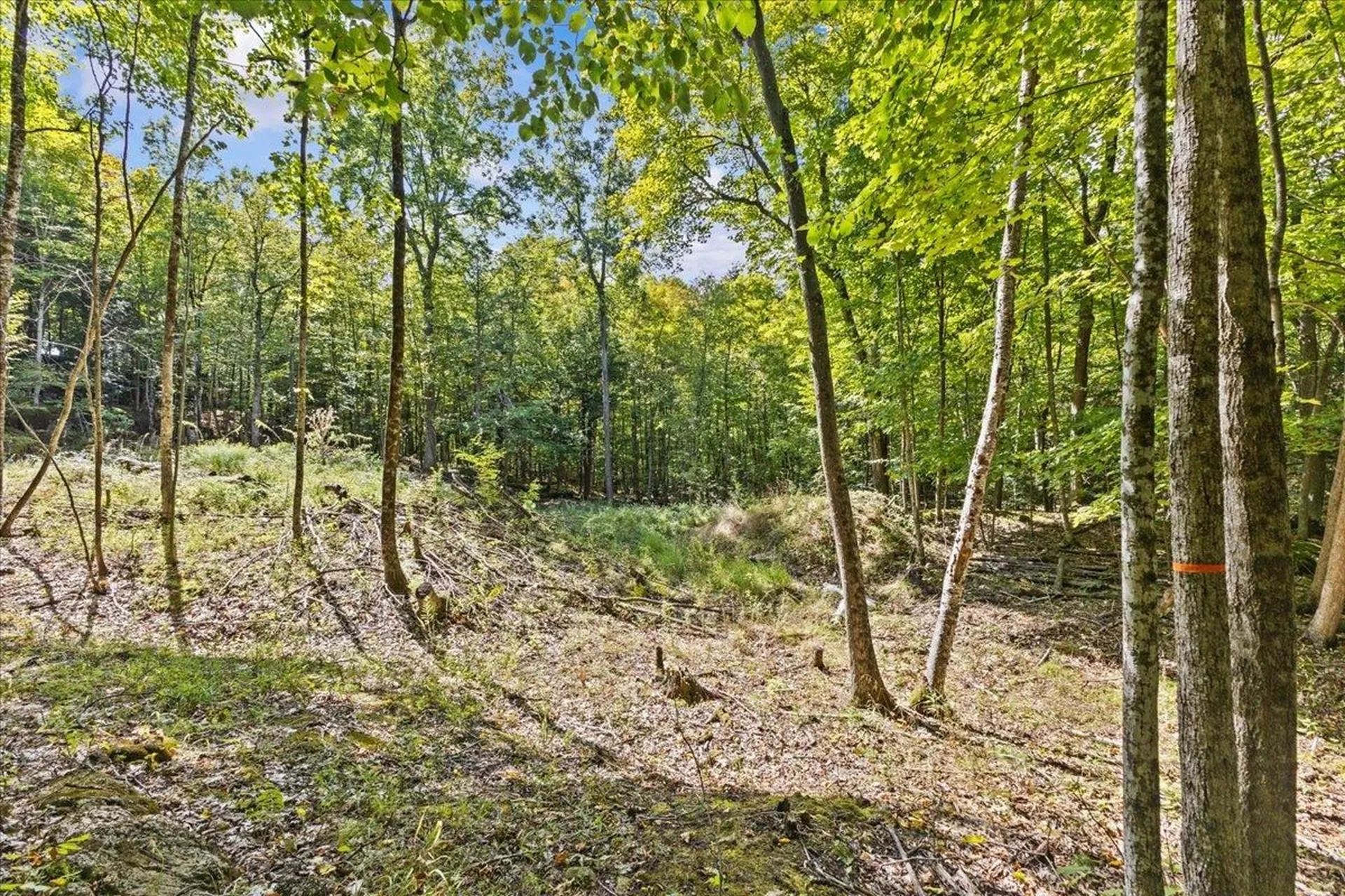 514 Red Rock Road Colchester VT 05446