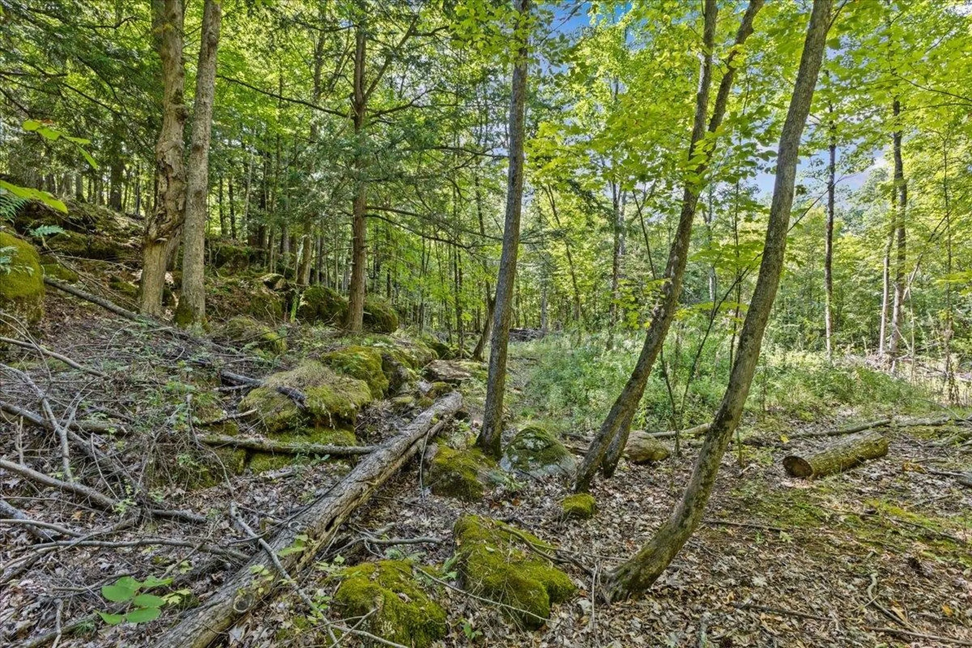 514 Red Rock Road Colchester VT 05446