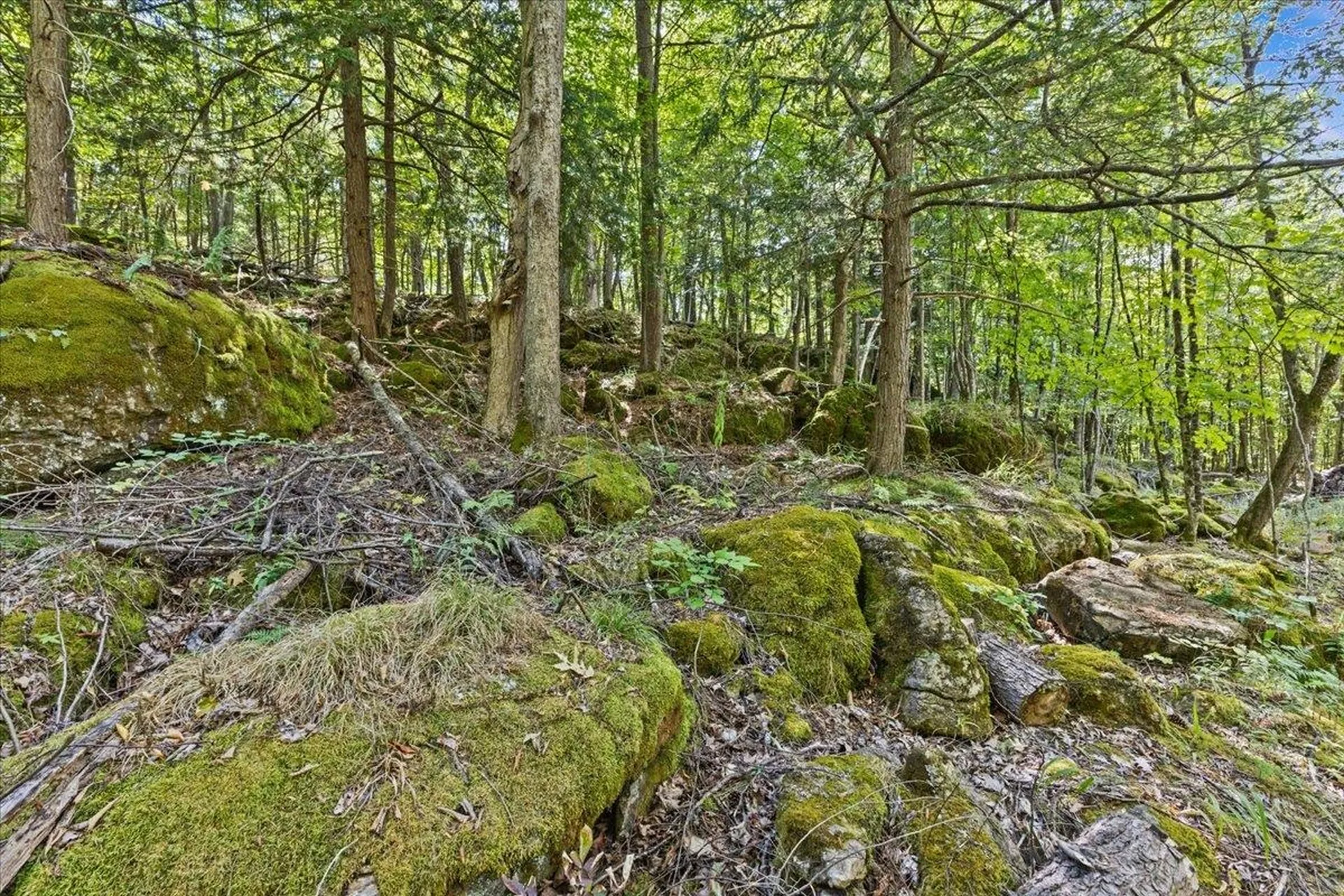 514 Red Rock Road Colchester VT 05446