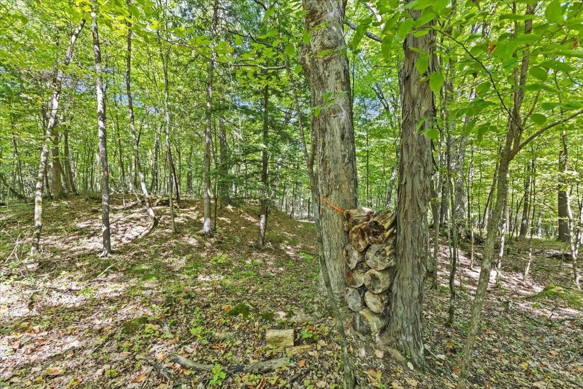 514 Red Rock Road Colchester VT 05446