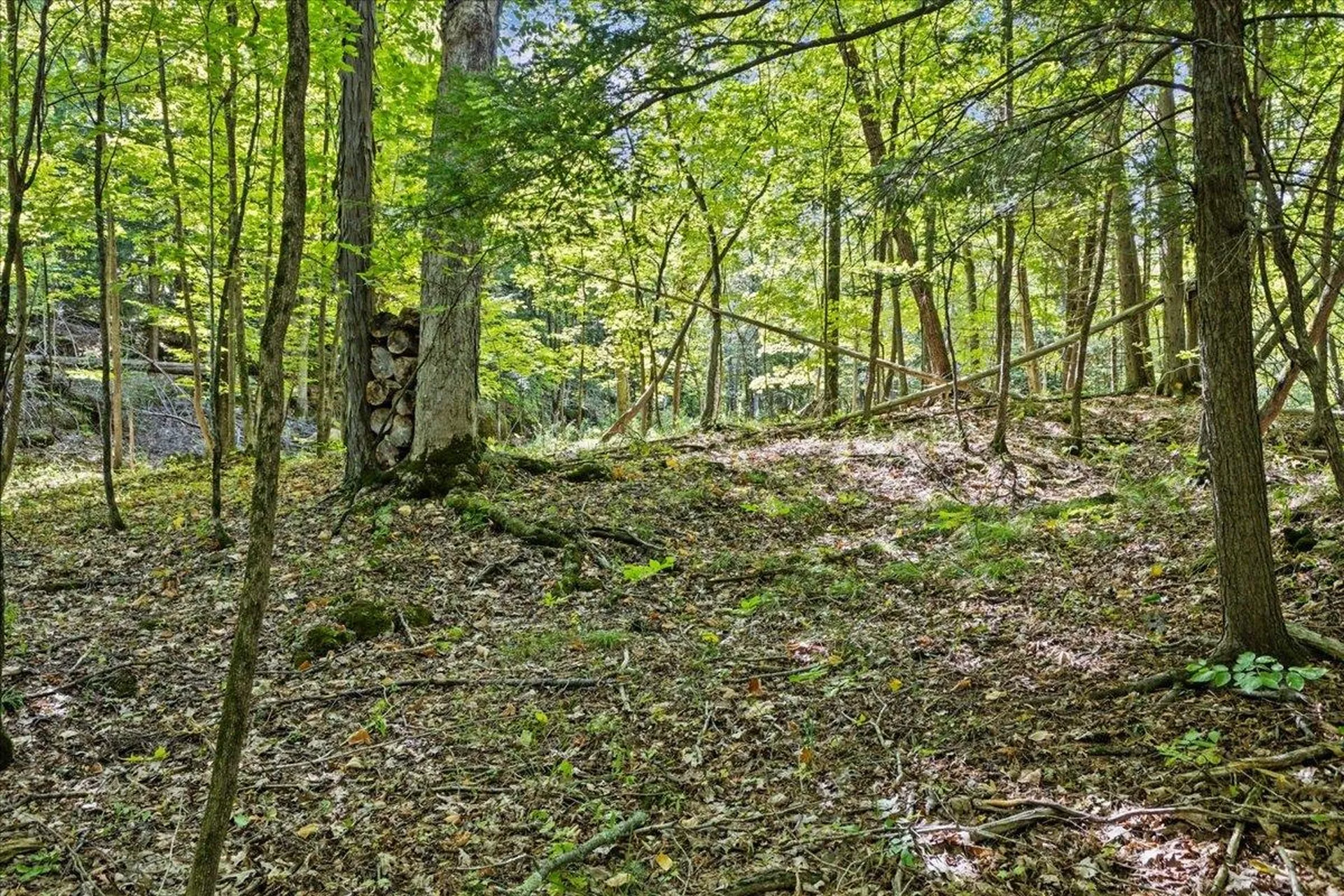 514 Red Rock Road Colchester VT 05446