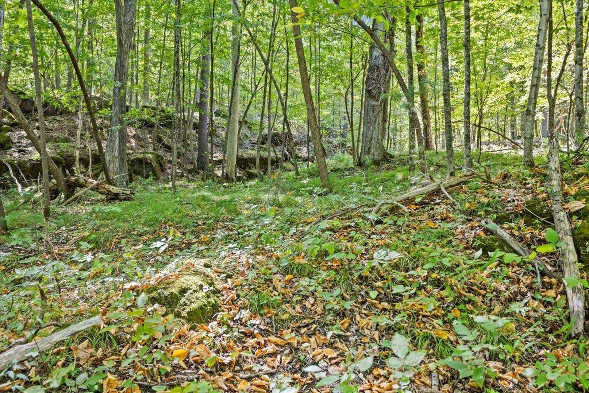 514 Red Rock Road Colchester VT 05446