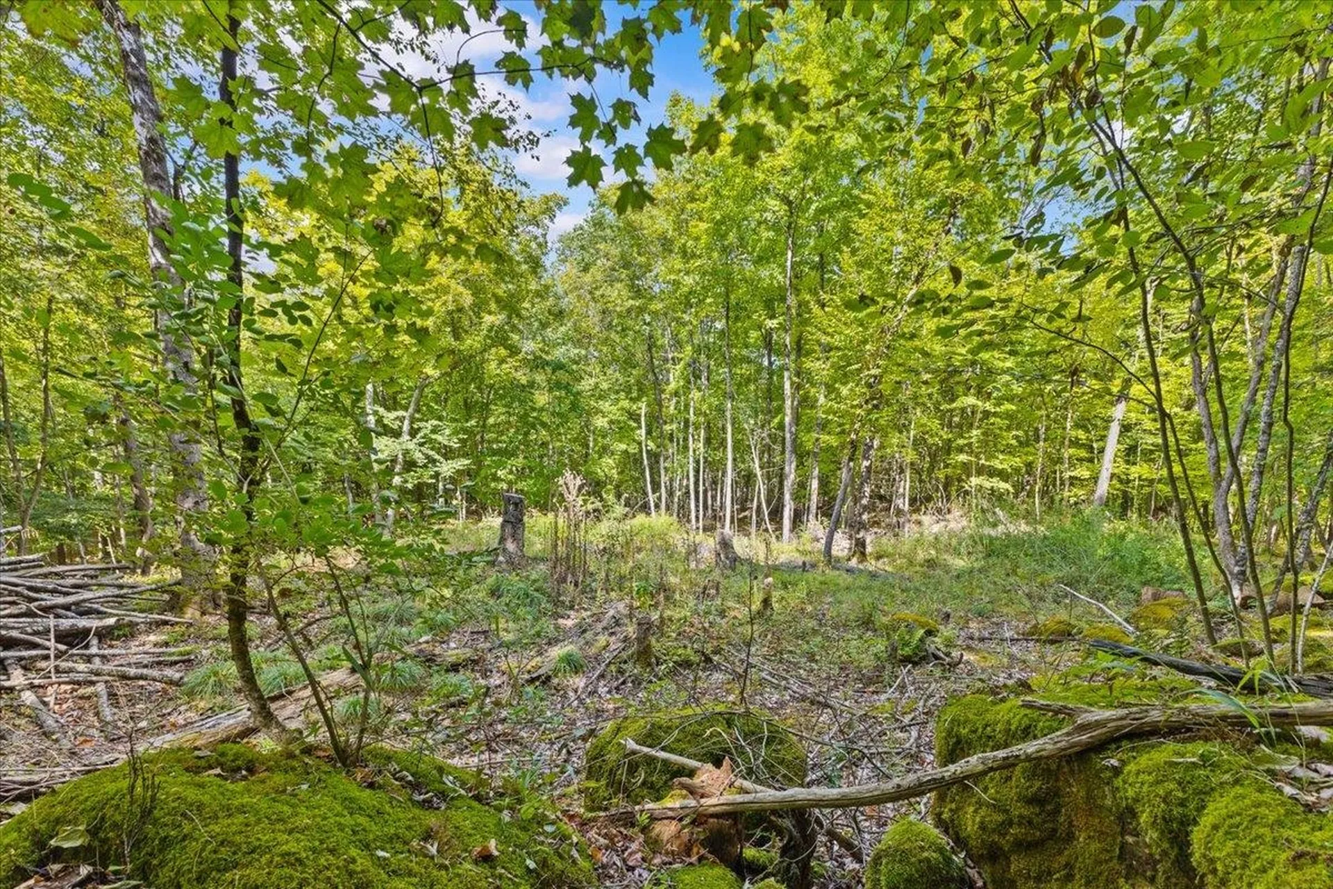 514 Red Rock Road Colchester VT 05446