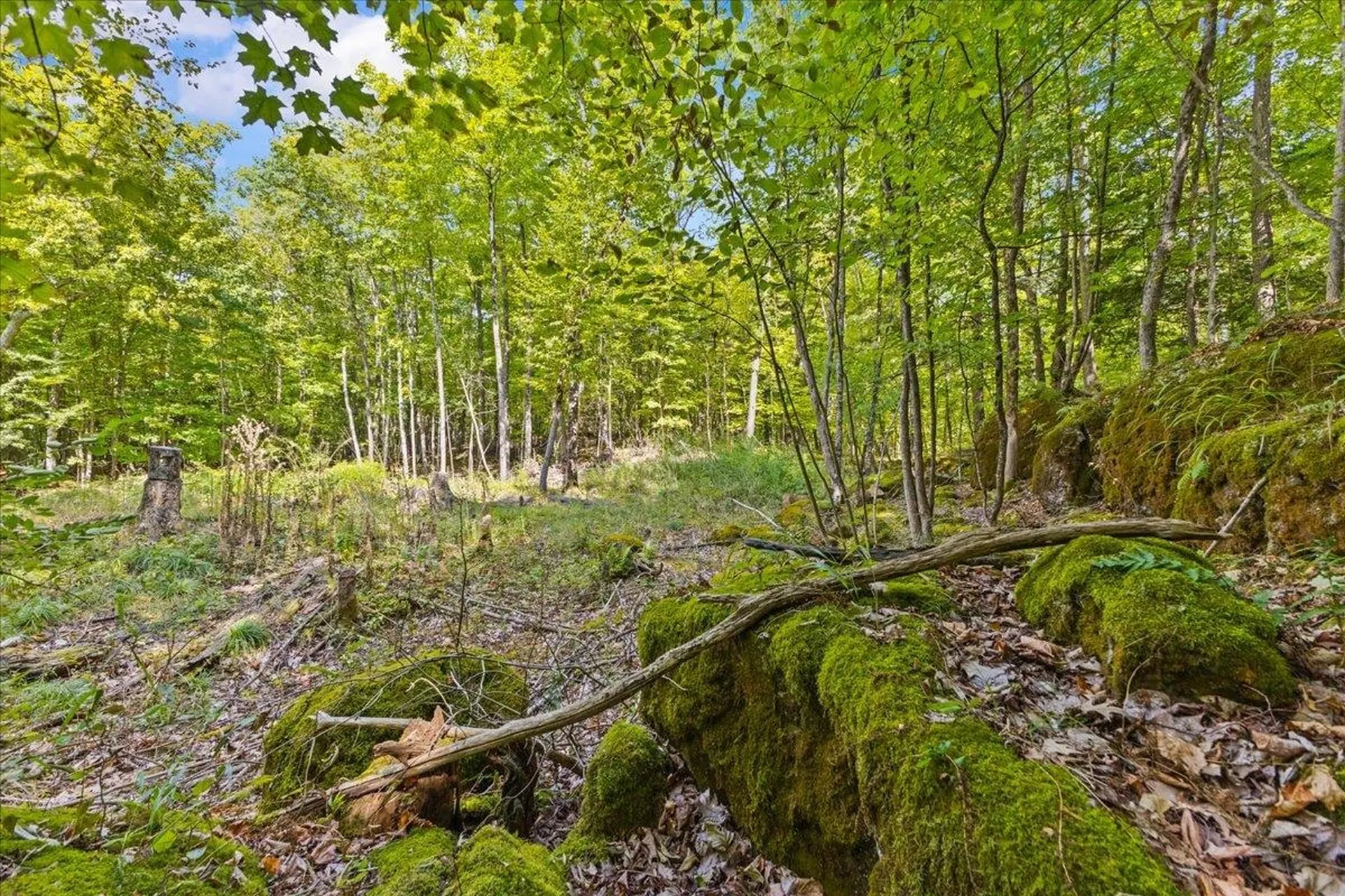 514 Red Rock Road Colchester VT 05446