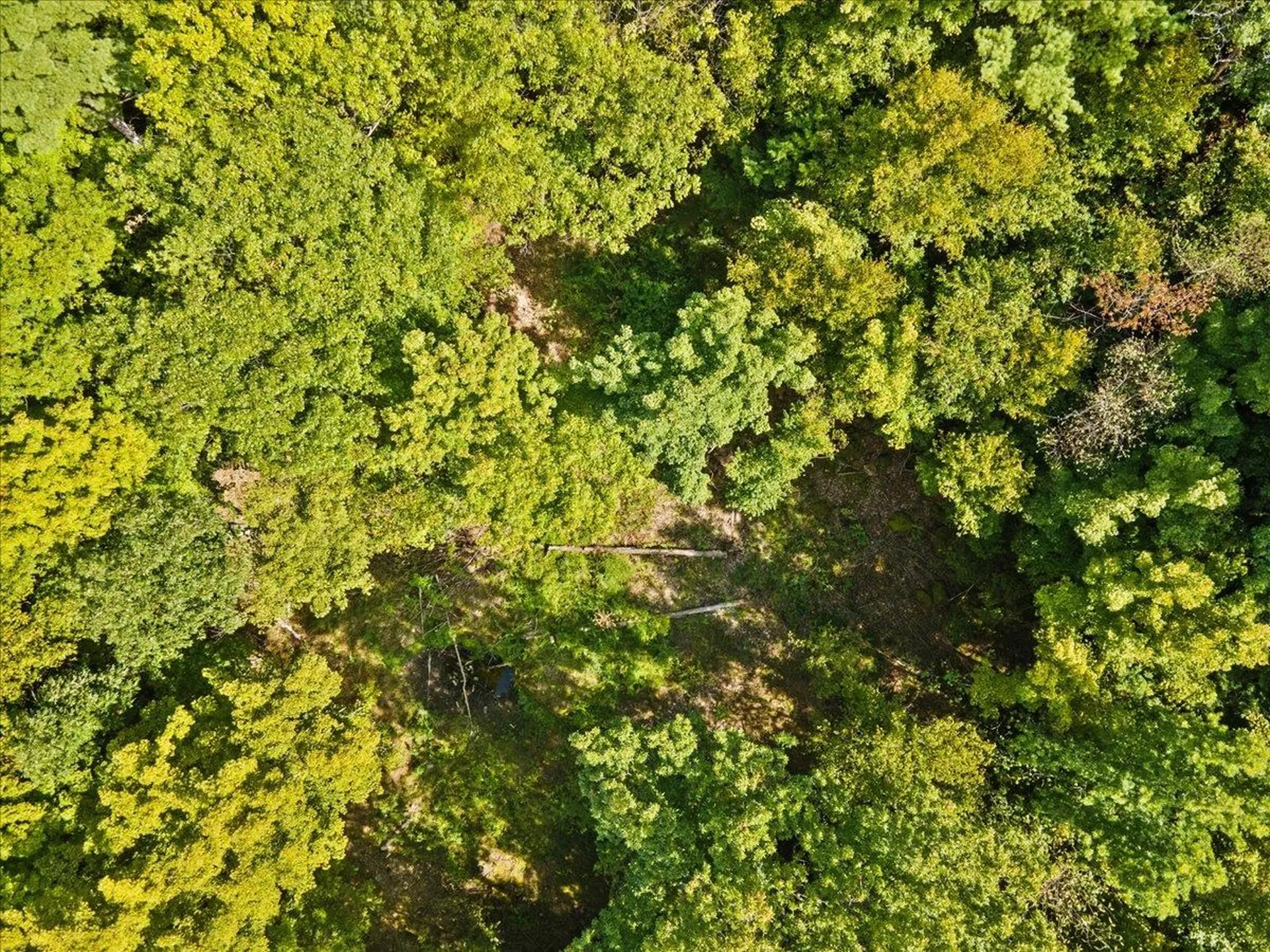 514 Red Rock Road Colchester VT 05446