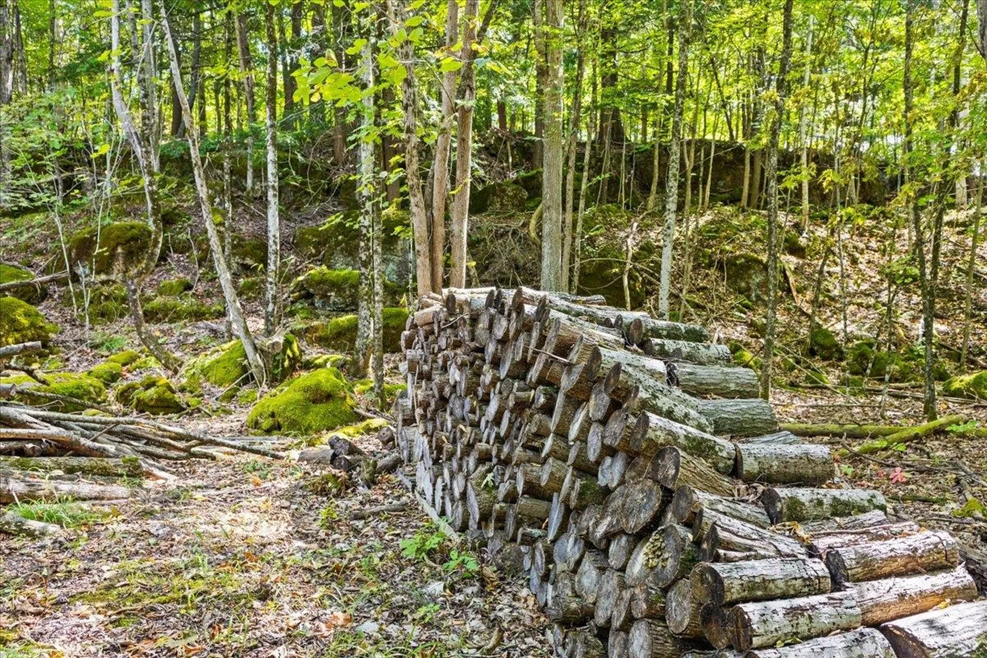 514 Red Rock Road Colchester VT 05446