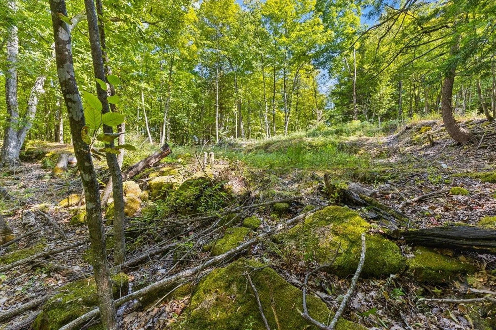 514 Red Rock Road Colchester VT 05446