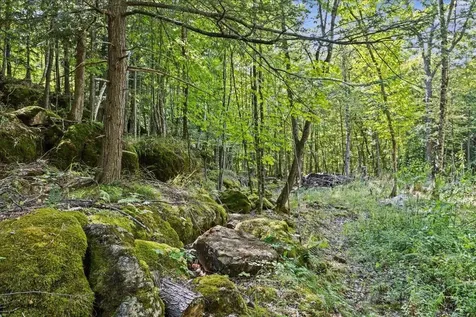 514 Red Rock Road Colchester VT 05446