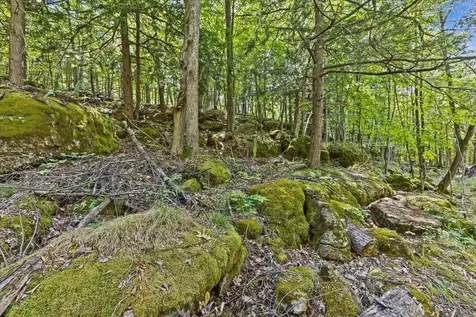 514 Red Rock Road Colchester VT 05446