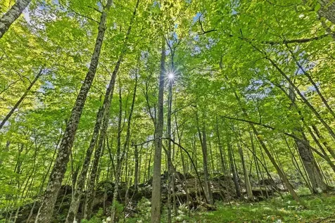 514 Red Rock Road Colchester VT 05446