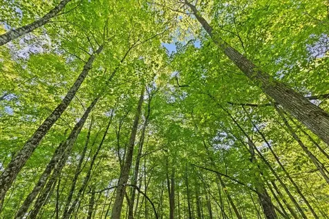 514 Red Rock Road Colchester VT 05446