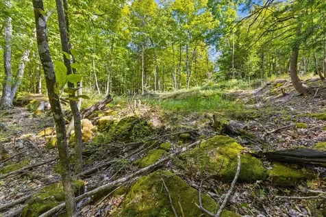 514 Red Rock Road Colchester VT 05446