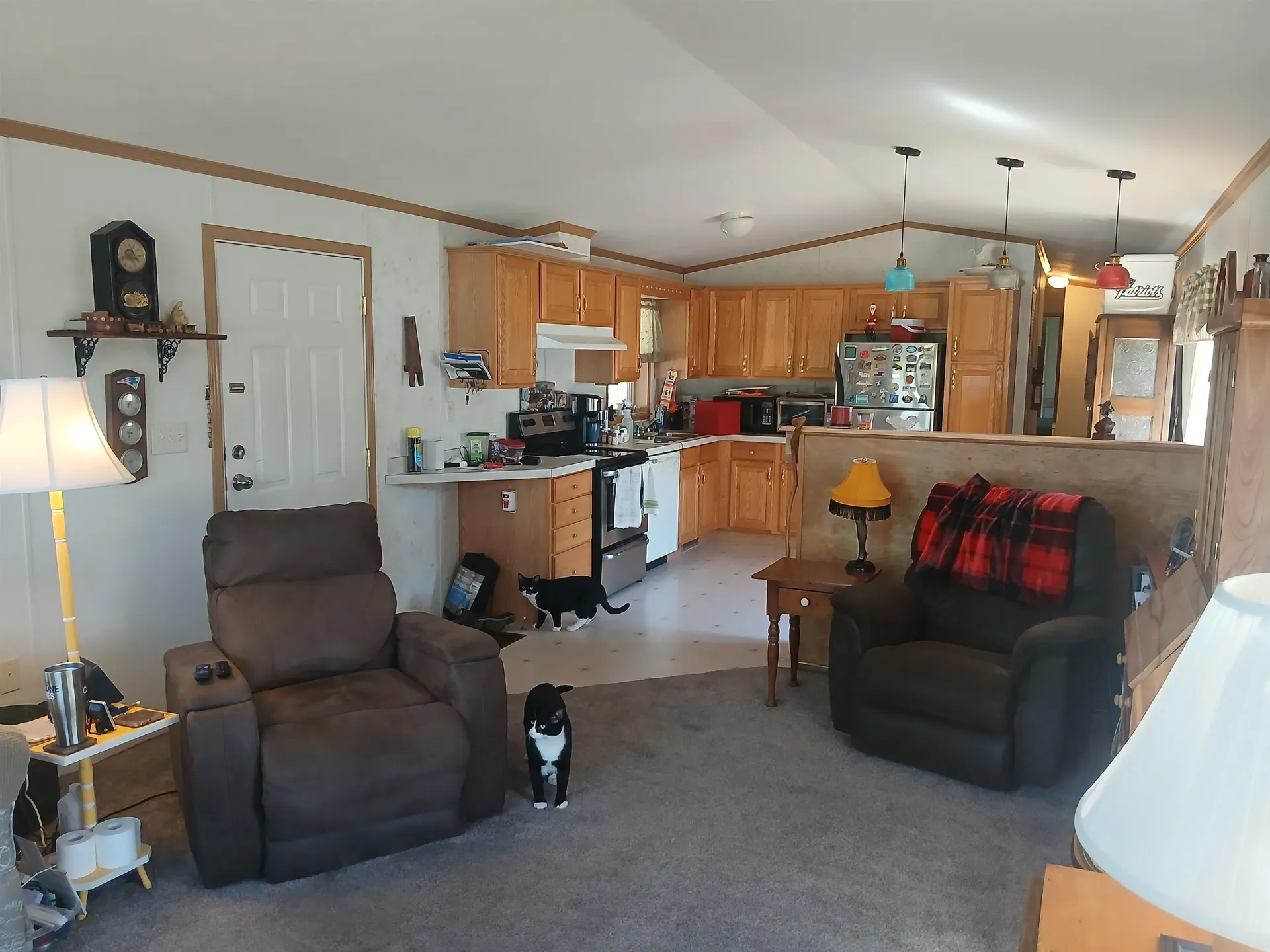 9 Michael Street Lebanon NH 03766