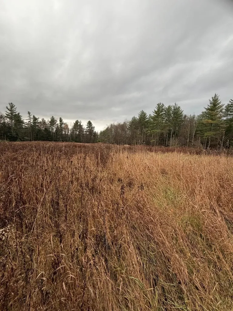 416 North Cambridge Road Cambridge VT 05444