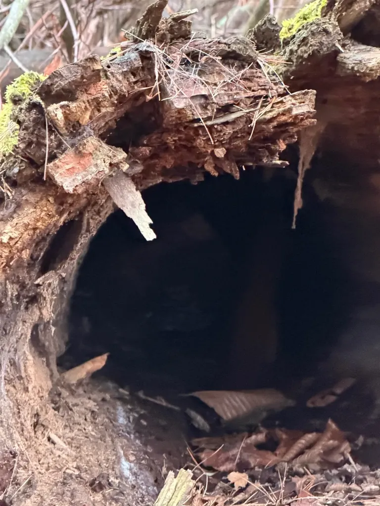 416 North Cambridge Road Cambridge VT 05444