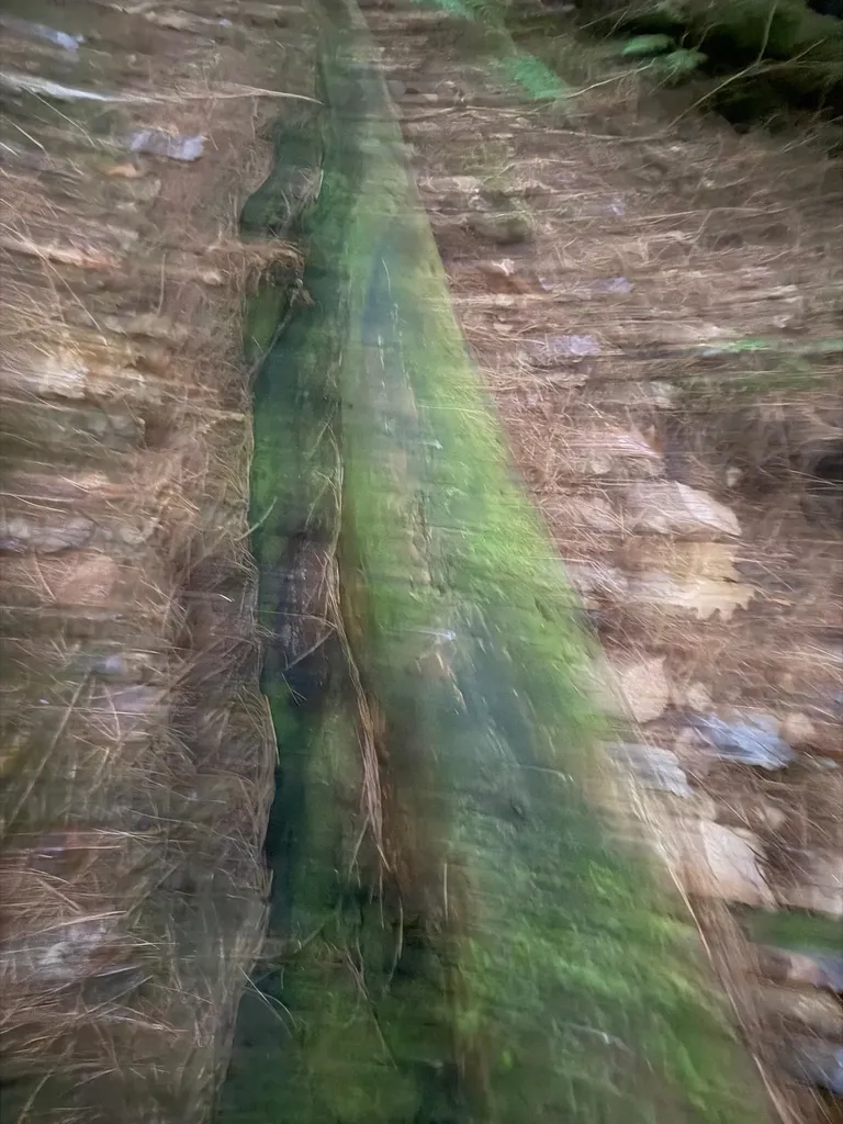 416 North Cambridge Road Cambridge VT 05444