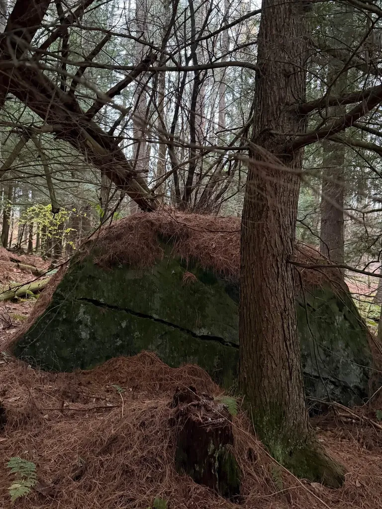 416 North Cambridge Road Cambridge VT 05444