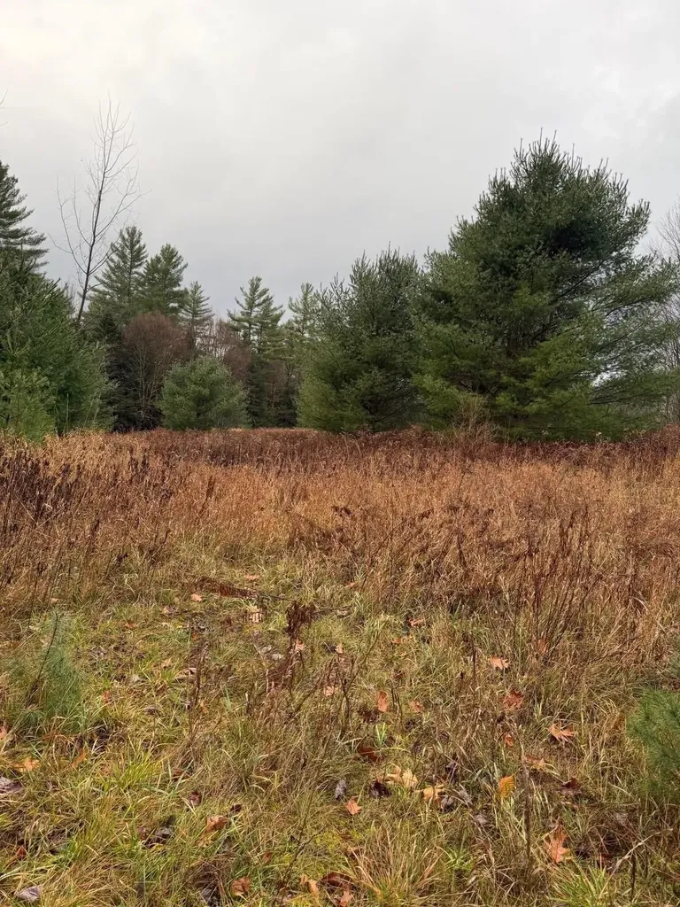 416 North Cambridge Road Cambridge VT 05444