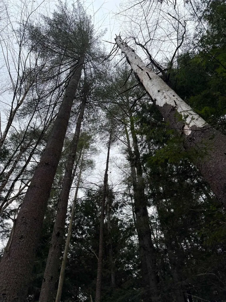 416 North Cambridge Road Cambridge VT 05444