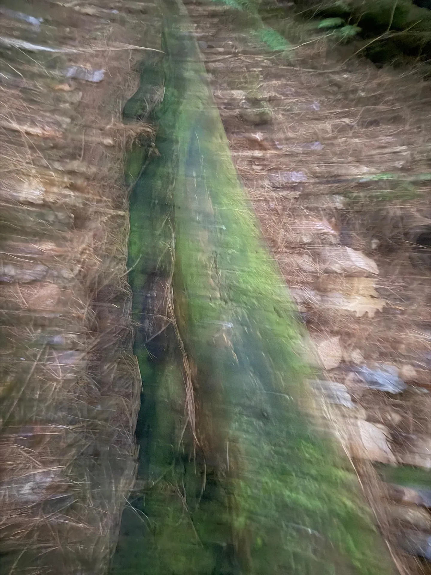 416 North Cambridge Road Cambridge VT 05444