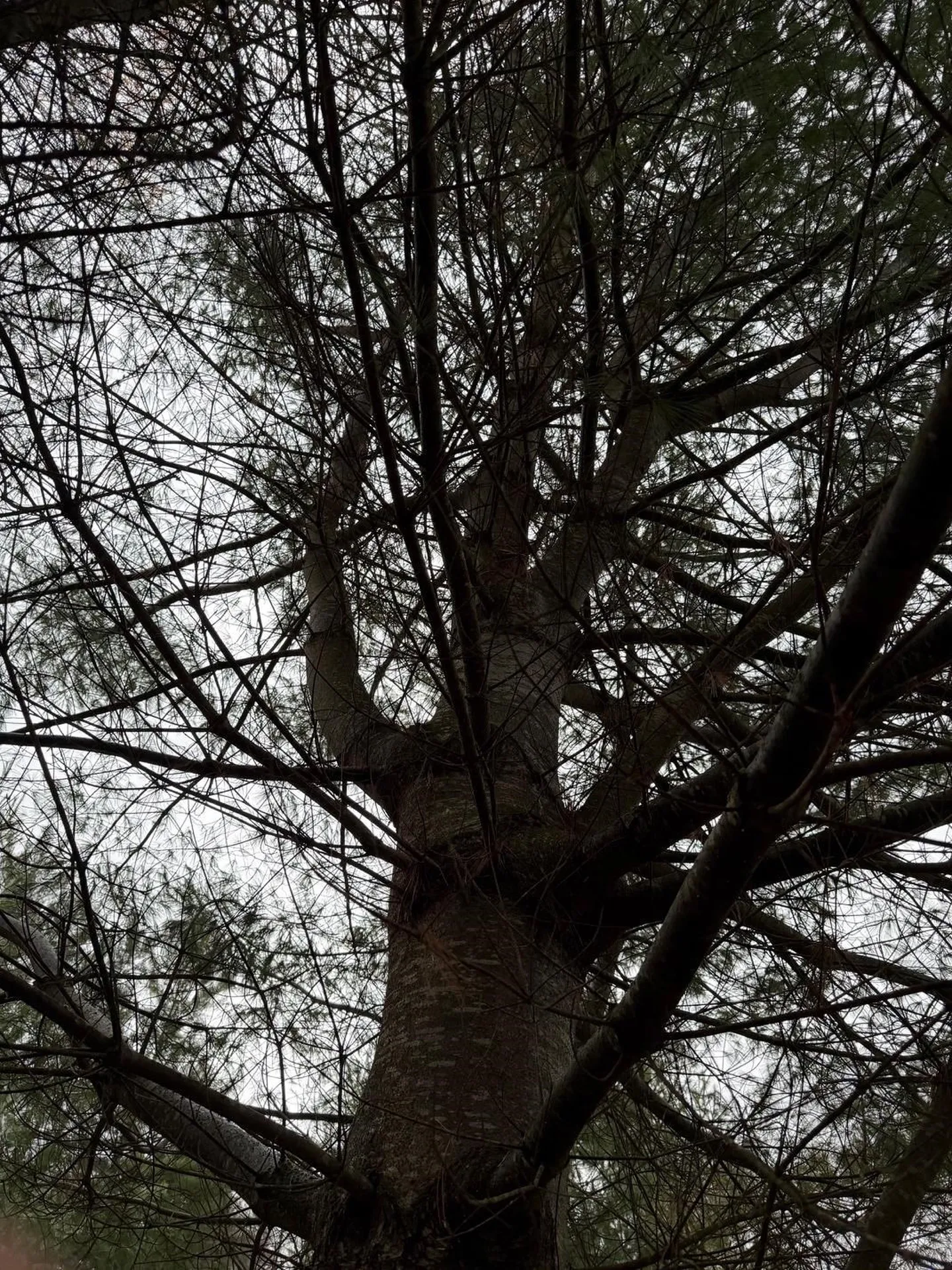 416 North Cambridge Road Cambridge VT 05444