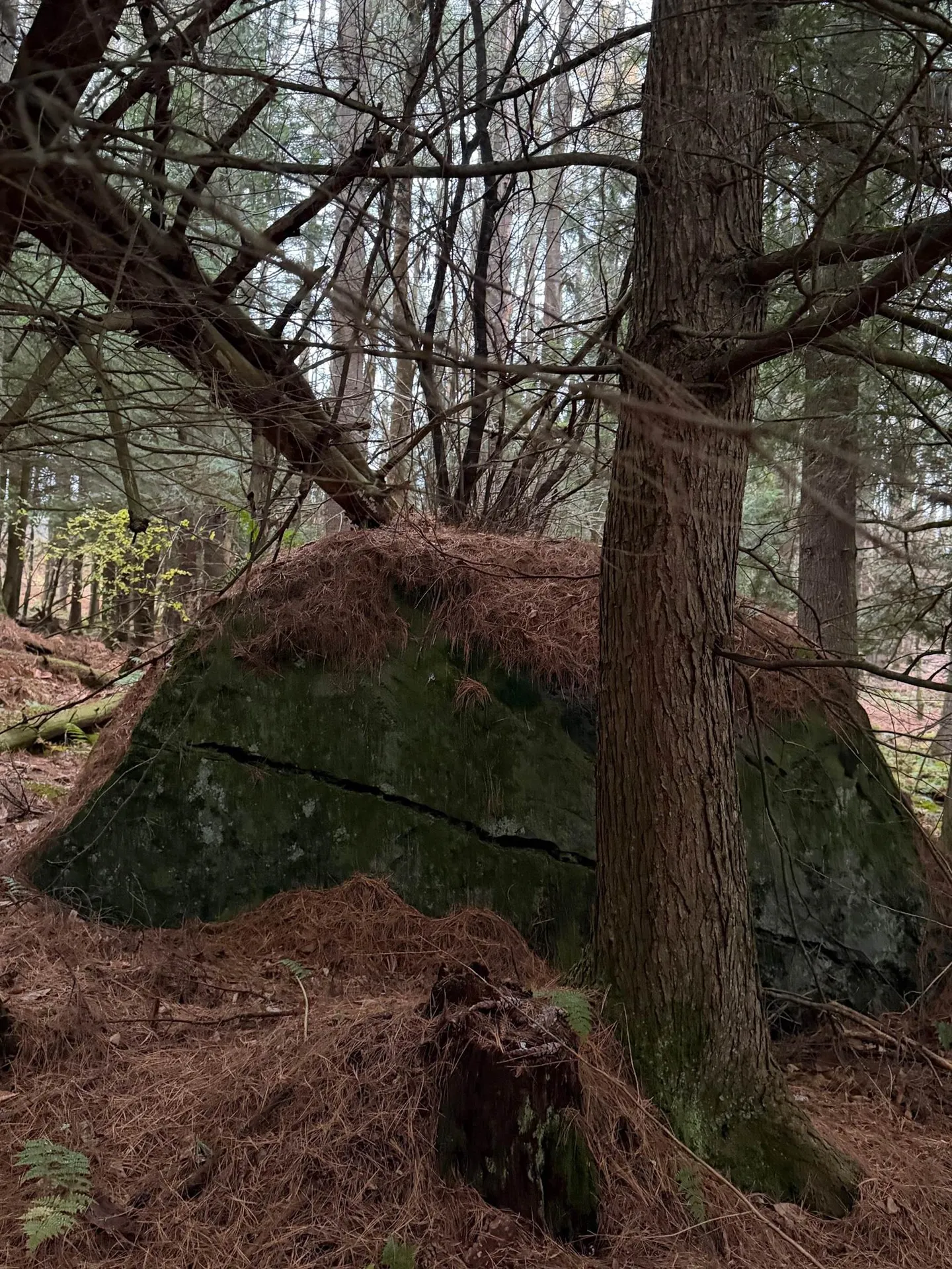 416 North Cambridge Road Cambridge VT 05444