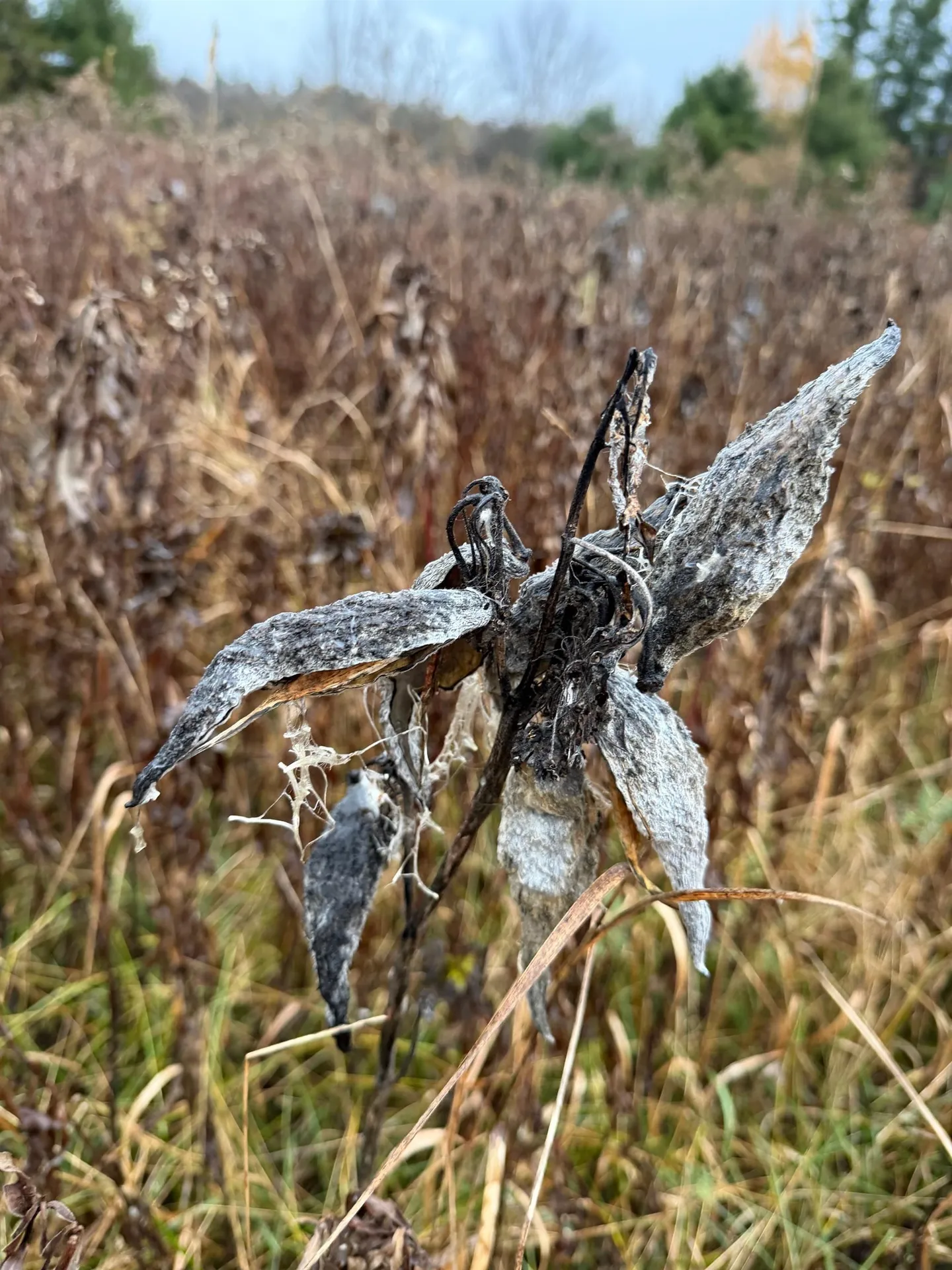 416 North Cambridge Road Cambridge VT 05444