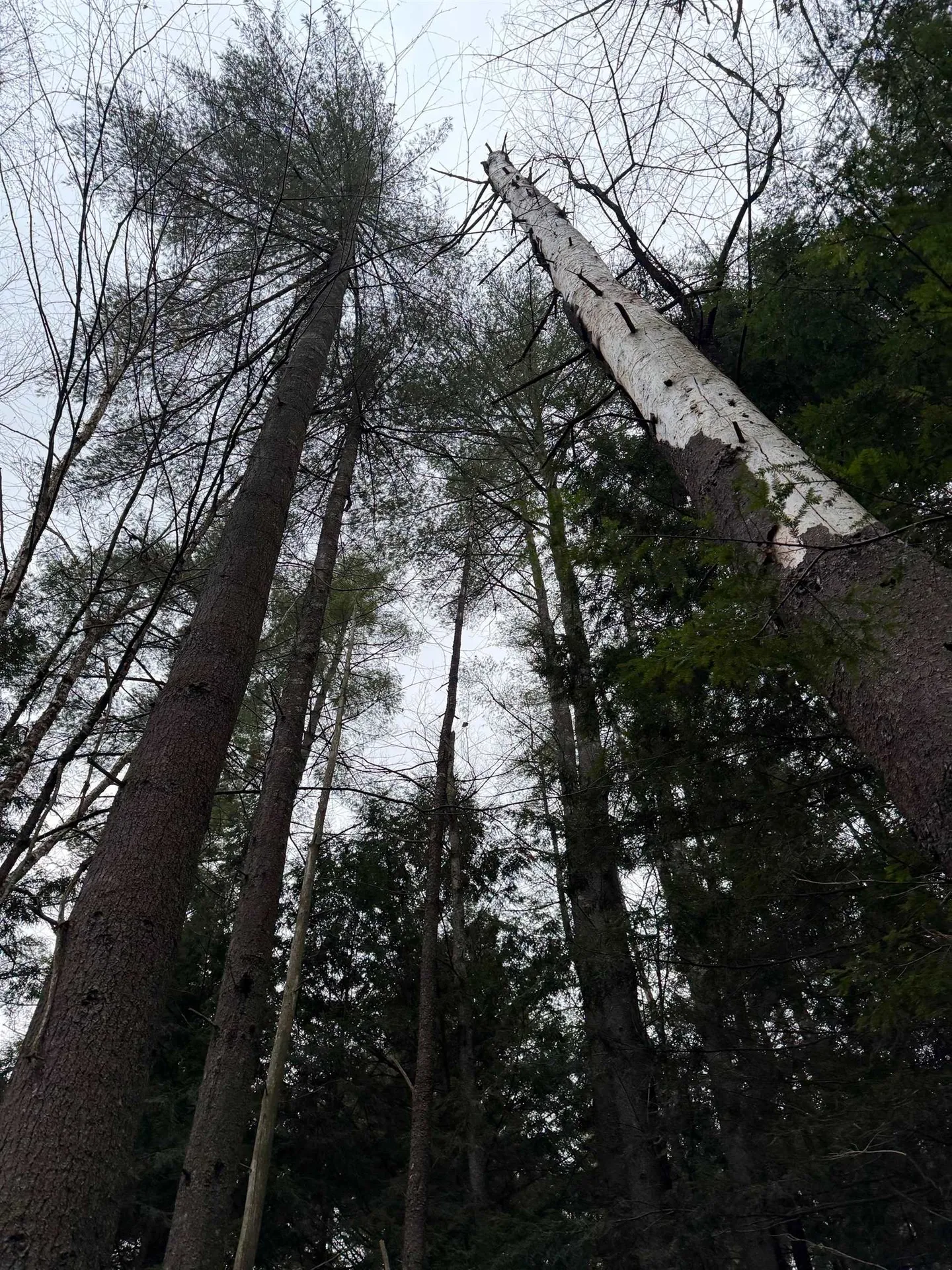 416 North Cambridge Road Cambridge VT 05444