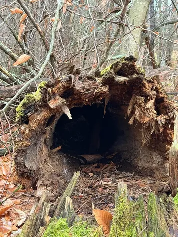 334 North Cambridge Road Cambridge VT 05444