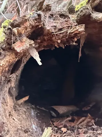 334 North Cambridge Road Cambridge VT 05444