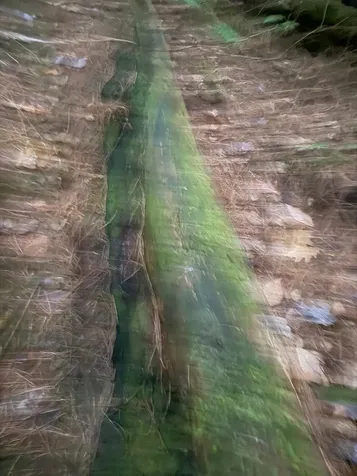 334 North Cambridge Road Cambridge VT 05444