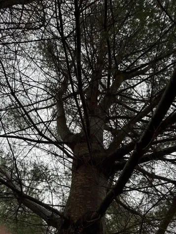 334 North Cambridge Road Cambridge VT 05444