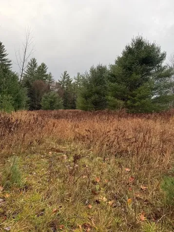 334 North Cambridge Road Cambridge VT 05444