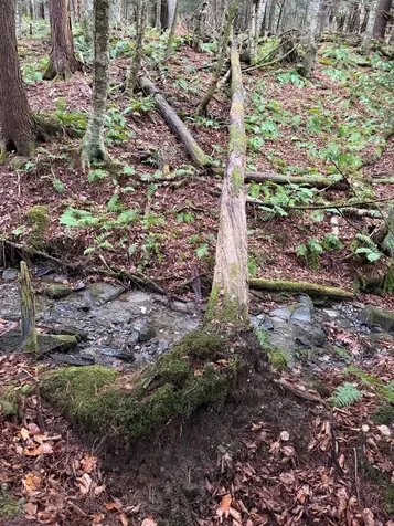 334 North Cambridge Road Cambridge VT 05444