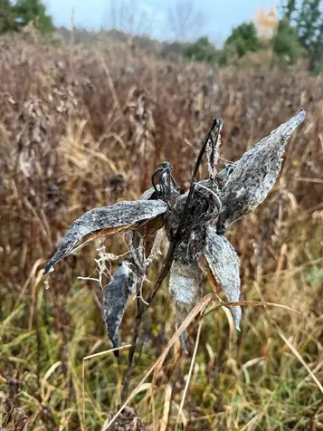 334 North Cambridge Road Cambridge VT 05444