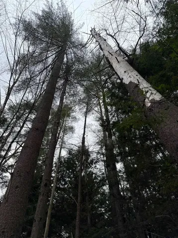 334 North Cambridge Road Cambridge VT 05444