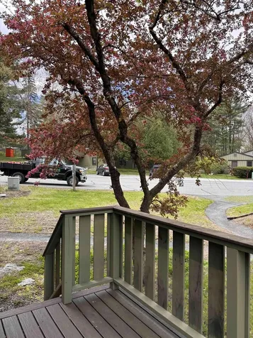 34 Floyd Avenue Lebanon NH 03784