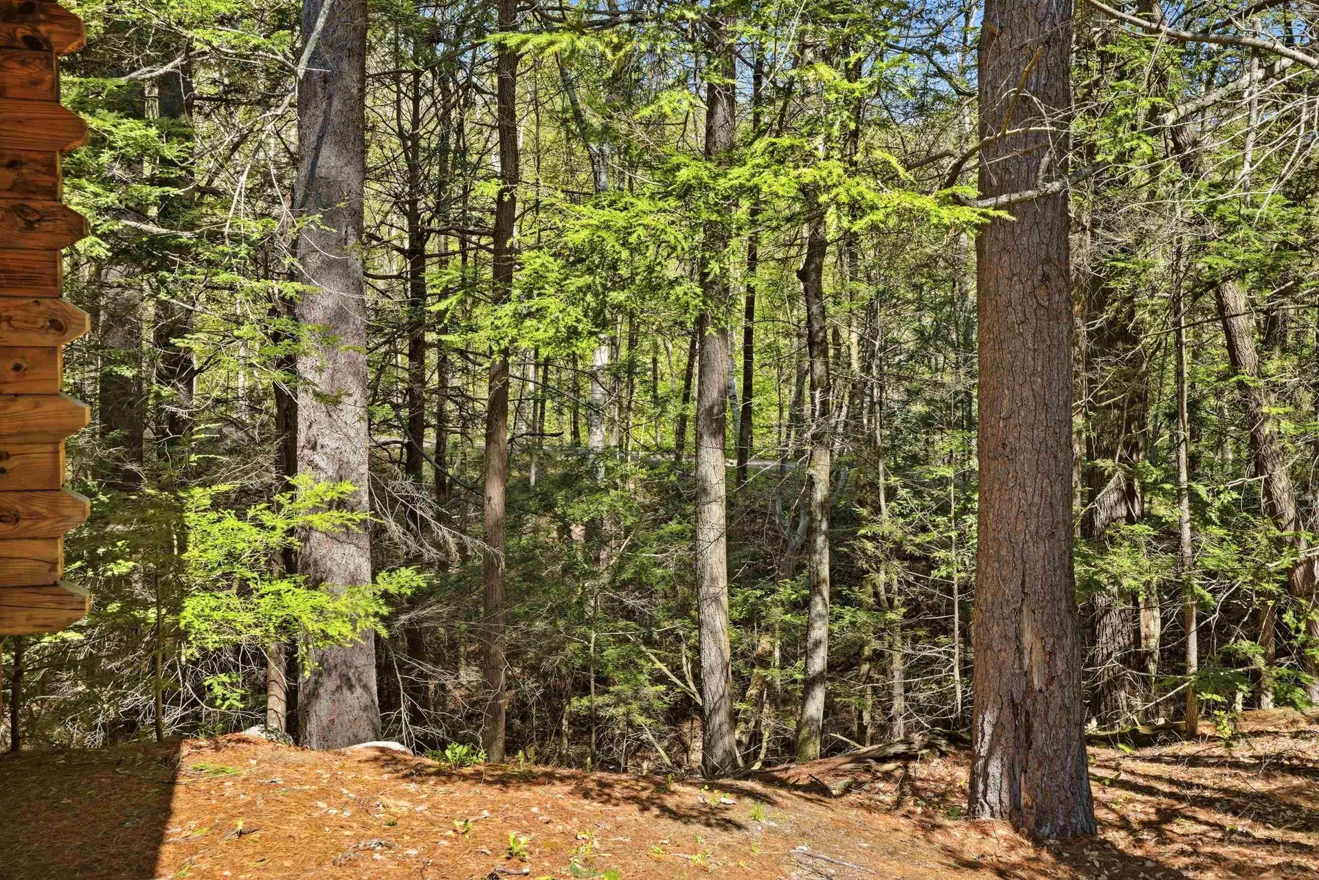 15 Sargent Drive Raymond NH 03077